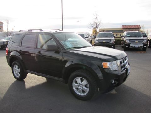Black Ford Escape XLT V6 4WD.  Click to enlarge.