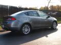 2013 Dart Limited #3