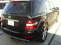 2010 ML 350 #2 2010 ML 350 #2
