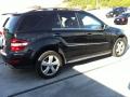 2010 ML 350 #3 2010 ML 350 #3
