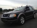 2006 Freestyle SEL AWD #1 2006 Freestyle SEL AWD #1