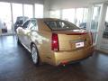 2013 CTS 3.6 Sedan #4