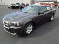 2013 Charger SE #2