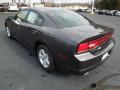  2013 Dodge Charger Granite Crystal #4