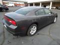 2013 Charger SE #5