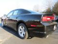 2013 Charger SE #2 2013 Charger SE #2