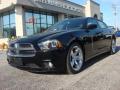 2013 Charger R/T Max #1