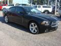 2013 Charger R/T Max #3