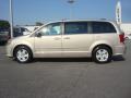  2013 Dodge Grand Caravan Sandstone #2