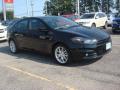 2013 Dart Rallye #6