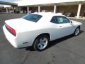2013 Challenger SXT #5 2013 Challenger SXT #5