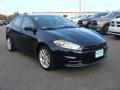 2013 Dart SXT #7