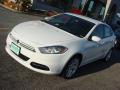 2013 Dart SXT #21