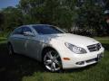 2009 CLS 550 #2