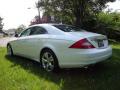 2009 CLS 550 #4