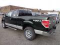 2013 F150 XLT SuperCab 4x4 #4