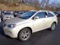 2013 RX 450h AWD #8