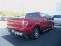 2010 F150 XLT SuperCrew #6