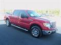 2010 F150 XLT SuperCrew #8