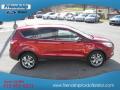 2013 Escape SEL 1.6L EcoBoost 4WD #6 2013 Escape SEL 1.6L EcoBoost 4WD #6