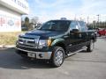 2013 F150 XLT SuperCrew 4x4 #3 2013 F150 XLT SuperCrew 4x4 #3