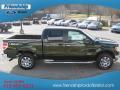 2013 F150 XLT SuperCrew 4x4 #6 2013 F150 XLT SuperCrew 4x4 #6