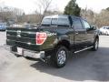 2013 F150 XLT SuperCrew 4x4 #7 2013 F150 XLT SuperCrew 4x4 #7