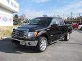 2013 F150 Lariat SuperCrew 4x4 #3