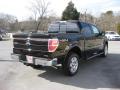2013 F150 Lariat SuperCrew 4x4 #7