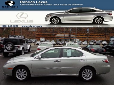 Millennium Silver Metallic Lexus ES 300.  Click to enlarge.