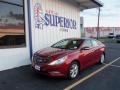 2013 Sonata SE #1