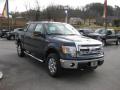 2013 F150 XLT SuperCrew 4x4 #5 2013 F150 XLT SuperCrew 4x4 #5