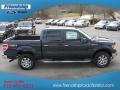 2013 F150 XLT SuperCrew 4x4 #6 2013 F150 XLT SuperCrew 4x4 #6