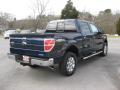 2013 F150 XLT SuperCrew 4x4 #7 2013 F150 XLT SuperCrew 4x4 #7