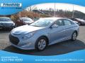 2012 Sonata Hybrid #3