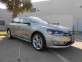 2013 Passat TDI SEL #1 2013 Passat TDI SEL #1