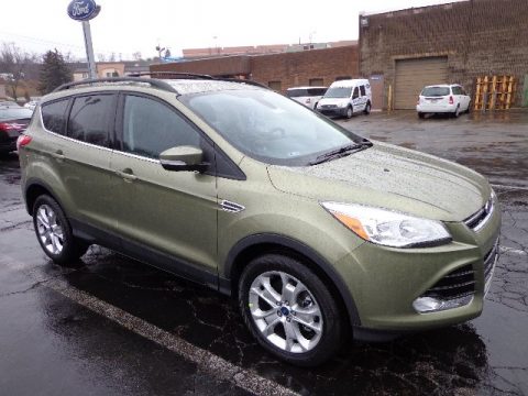 Ginger Ale Metallic Ford Escape SEL 2.0L EcoBoost 4WD. Click to enlarge. Ginger Ale Metallic Ford Escape SEL 2.0L EcoBoost 4WD. Click to enlarge.