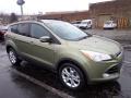2013 Escape SEL 2.0L EcoBoost 4WD #1 2013 Escape SEL 2.0L EcoBoost 4WD #1