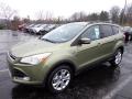 2013 Escape SEL 2.0L EcoBoost 4WD #5 2013 Escape SEL 2.0L EcoBoost 4WD #5