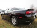 2013 Charger SE #2 2013 Charger SE #2