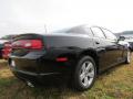 2013 Charger SE #3 2013 Charger SE #3