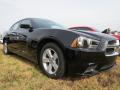 2013 Charger SE #4 2013 Charger SE #4