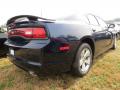 2013 Charger SXT #3