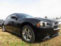 2013 Charger SE #4