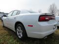 2013 Charger SE #2