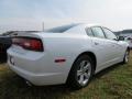 2013 Charger SE #3
