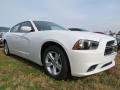 2013 Charger SE #4