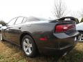 2013 Charger SXT #2