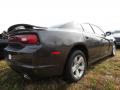 2013 Charger SXT #3