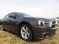 2013 Charger SXT #4